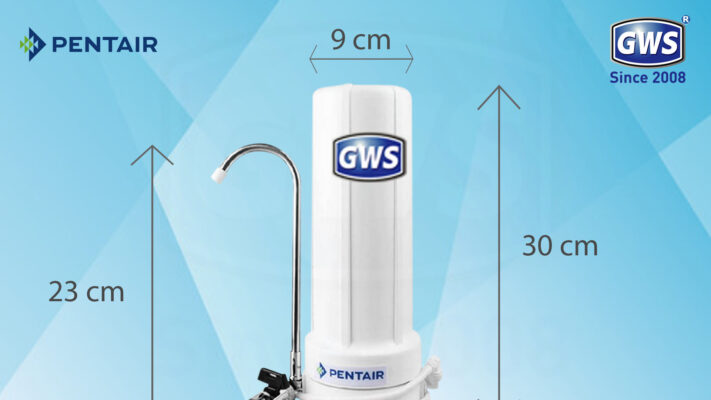 Máy Lọc Nước Để Bàn Pentair x Gws CTS-104M....